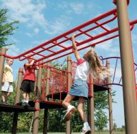 Overhead Parallel Bars with Horizontal Ladder