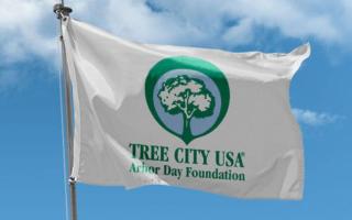 2022 saw Waltham reach 21 years in a row as a Tree City USA member