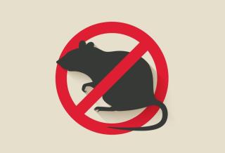 Due to the increase in rodent population, all refuse put out at the curbside for collection must be in watertight barrels with t