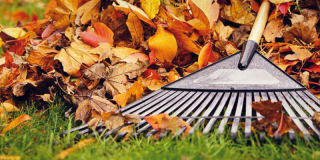 FYI - Our Annual Leaf Vacuuming schedule HAS CHANGED. This year, the program will begin with TUESDAY'S trash & recycling route. 
