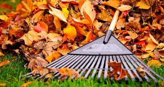 Last call for yard waste! Our biweekly yard waste collection services are nearing the end of it's pick-up schedule for the seaso
