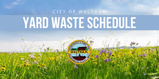 A reminder that yard waste collection is now ongoing!