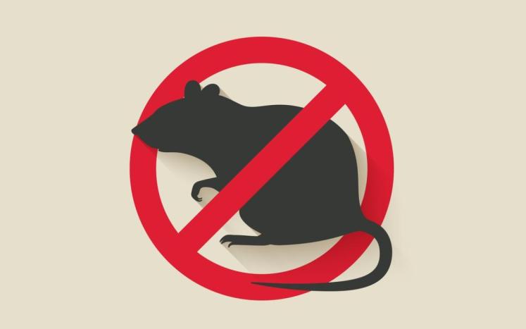 Due to the increase in rodent population, all refuse put out at the curbside for collection must be in watertight barrels with t