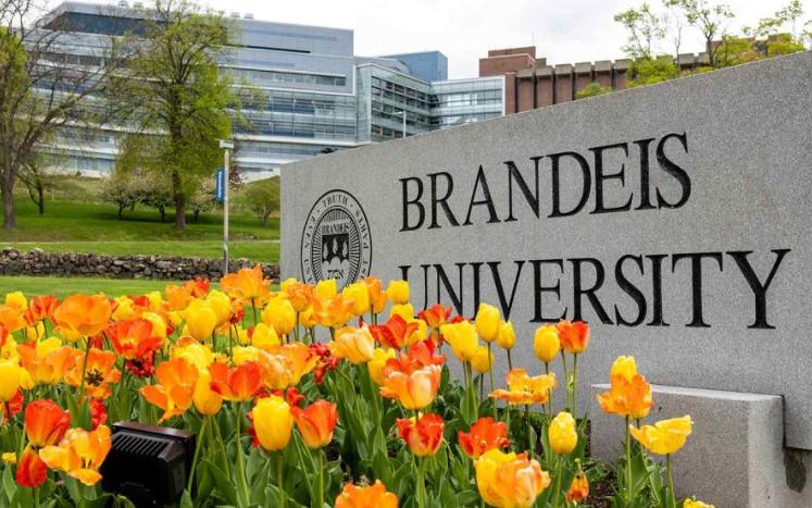 Brandeis University is holding a Community Outreach Meeting on Thursday, June 13th to discuss a proposed residence hall that wou