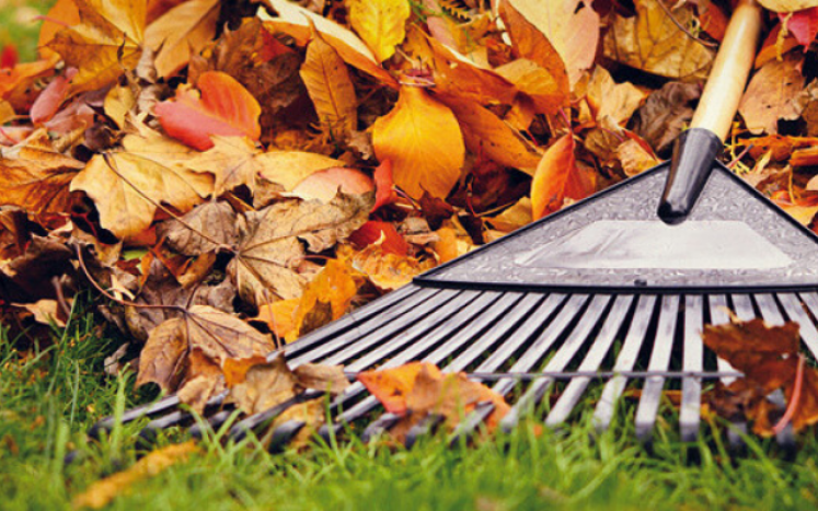 FYI - Our Annual Leaf Vacuuming schedule HAS CHANGED. This year, the program will begin with TUESDAY'S trash & recycling route. 