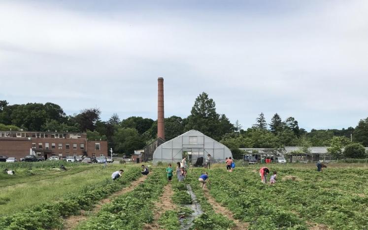 Any interest in residential community gardens in Waltham? Take our survey!
