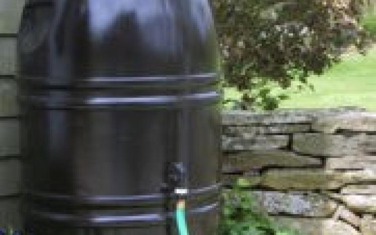 Rain Barrels are available to Waltham residents at a discounted price! Manage water supply, minimize storm-water runoff, & start