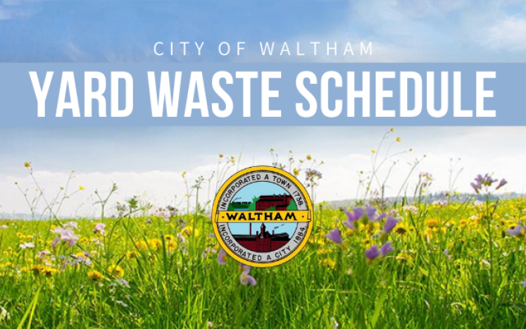 All about yard waste collection & our annual leaf vacuuming program!